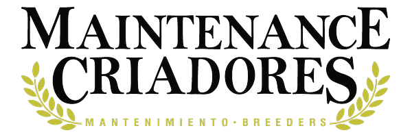 Maintenance Criadores