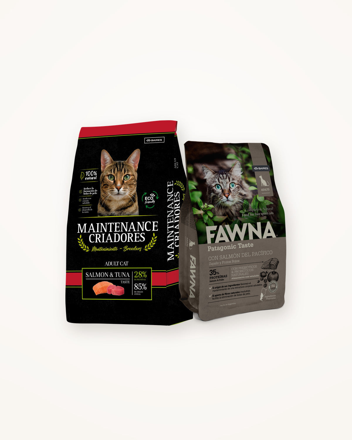 gatos
