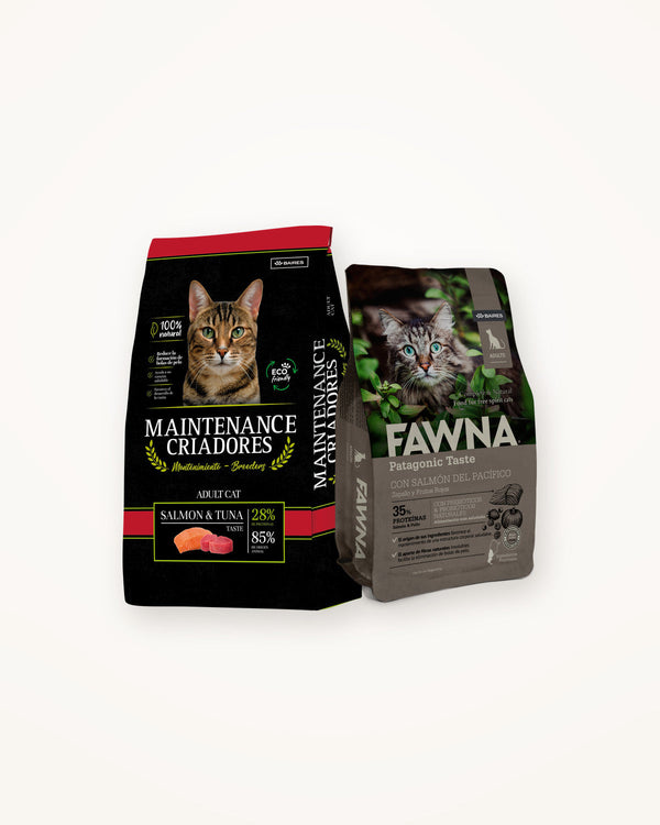Alimento para gato