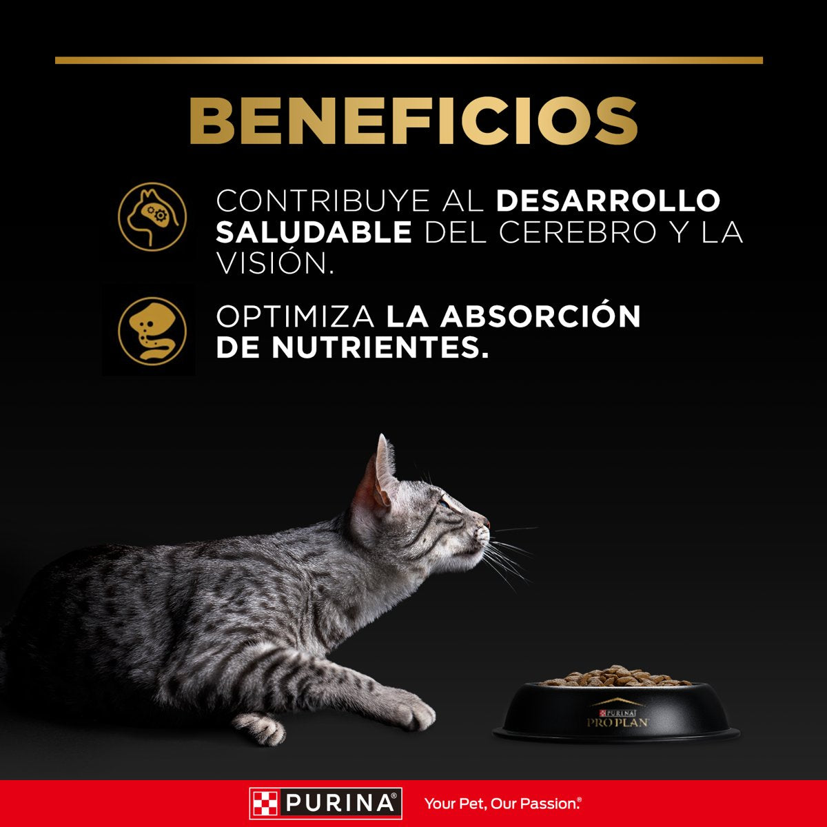 Pro Plan PLAN kitten 6x3kg