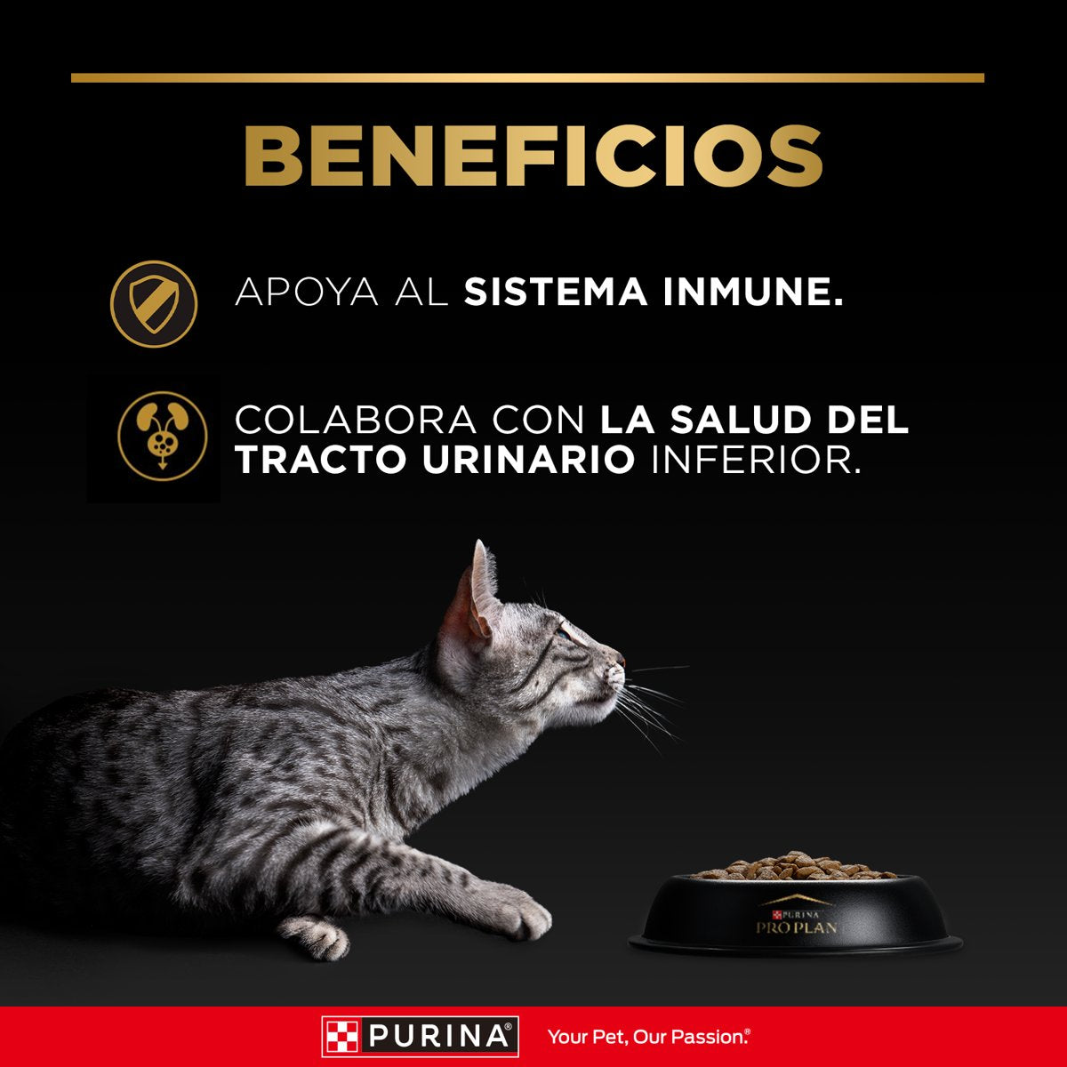 Pro Plan PLAN Adult Cat 6x3kg