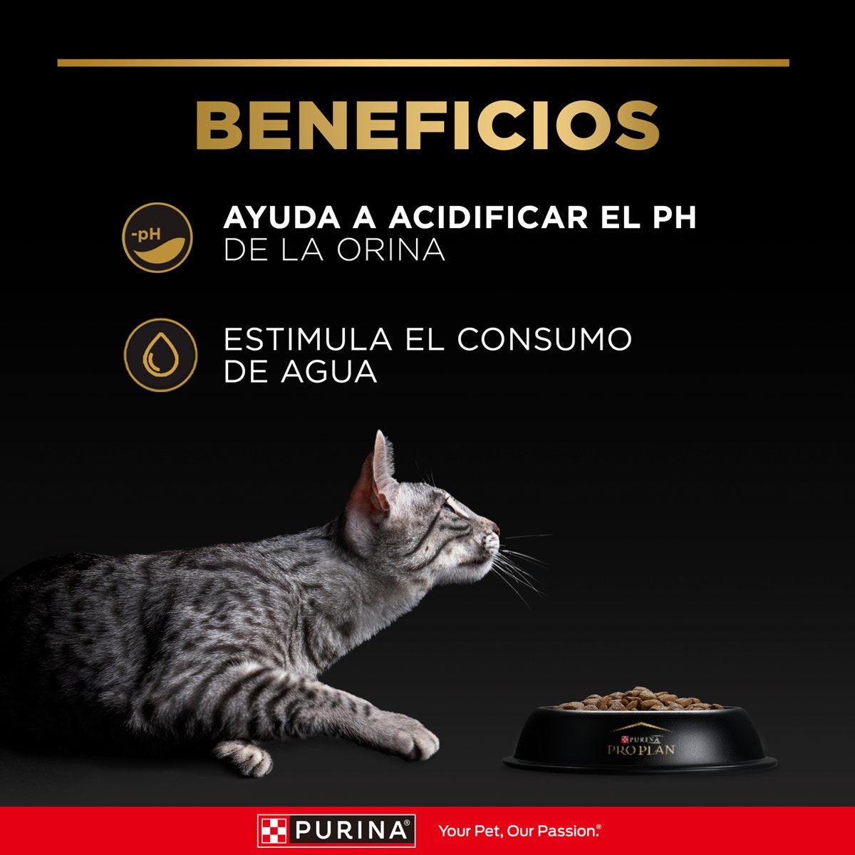 Pro Plan PLAN Urinary Cat 6x1kg