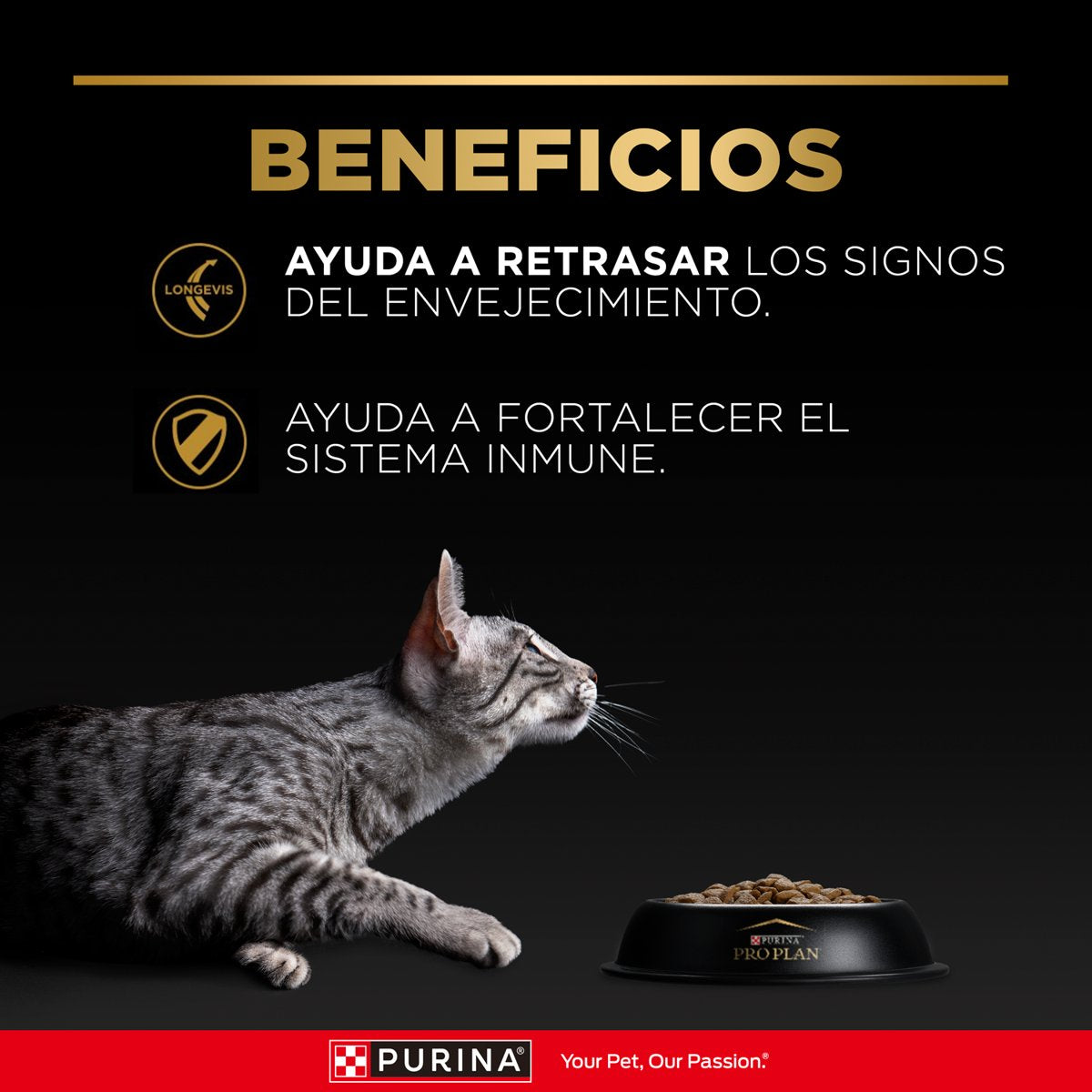 Pro Plan PLAN Adult Cat 7+ 6x3kg