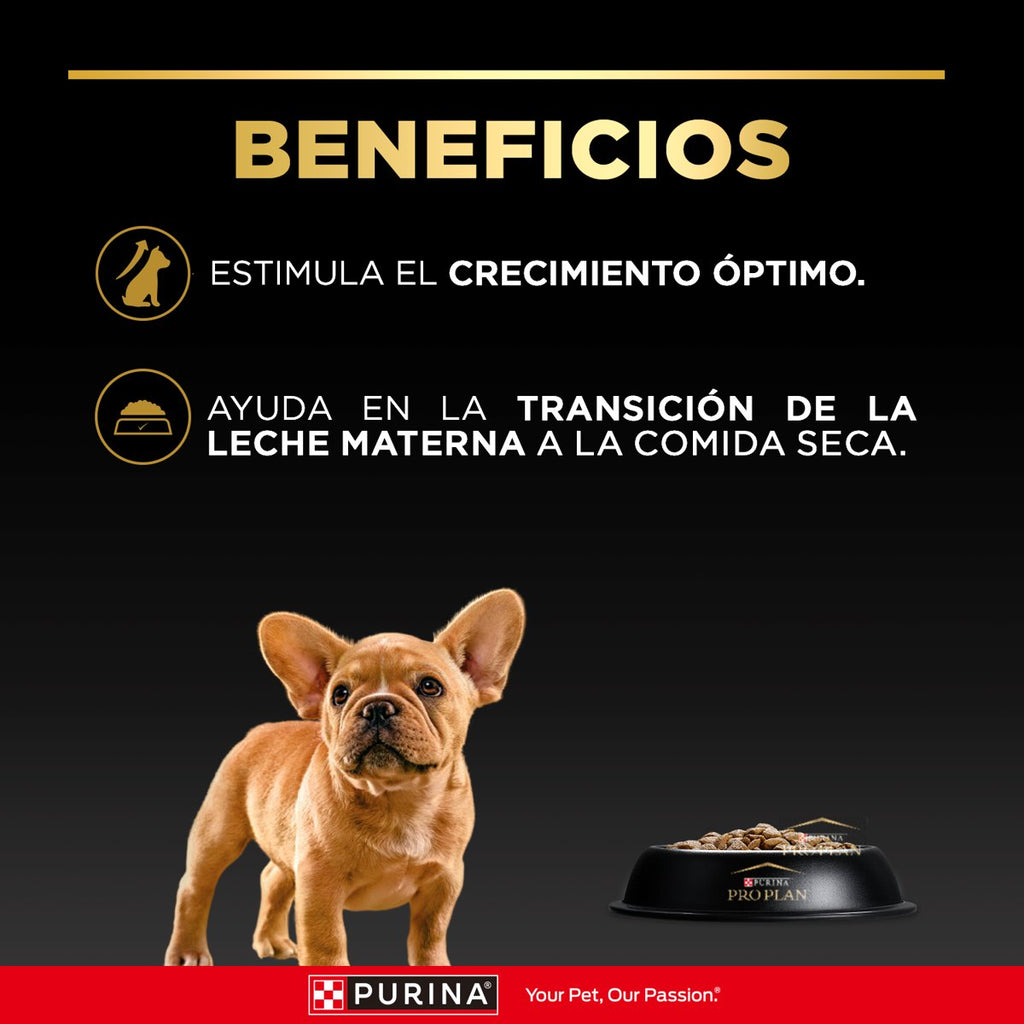 Pro Plan PLAN Puppy Small Breed 6x1kg