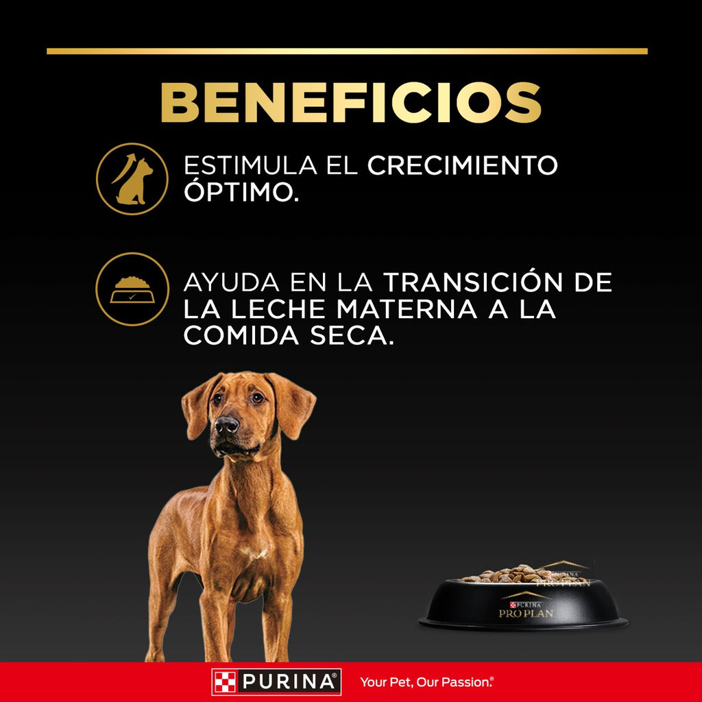 Pro Plan PLAN Puppy Large Breed 15kg