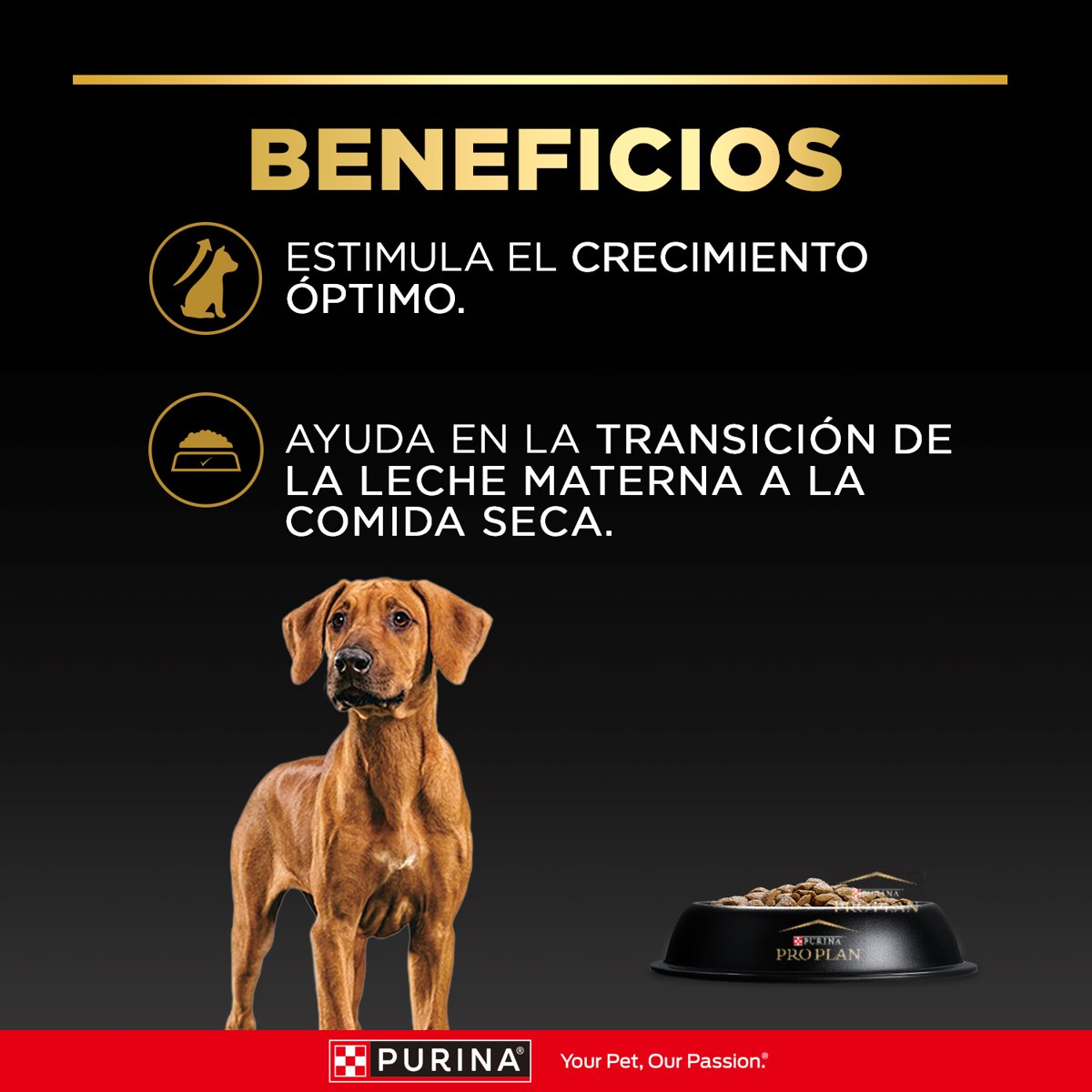 Pro Plan PLAN Puppy Large Breed 15kg