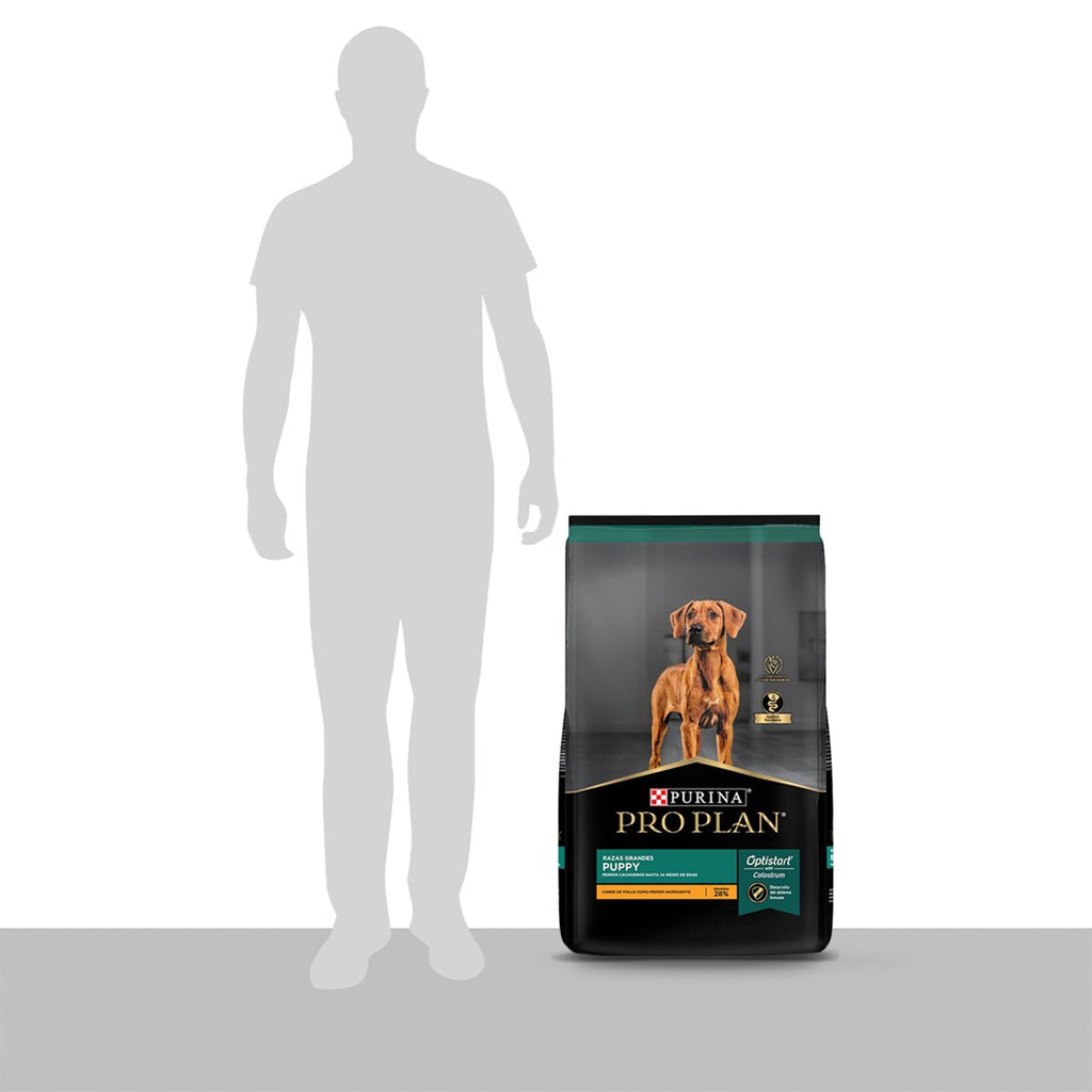 Pro Plan PLAN Puppy Large Breed 15kg