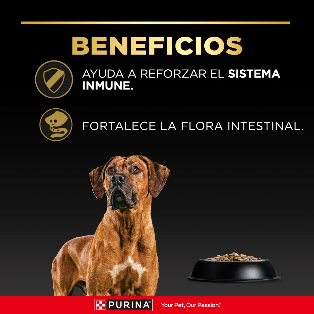 Pro Plan PLAN Adult Large Breed 15kg