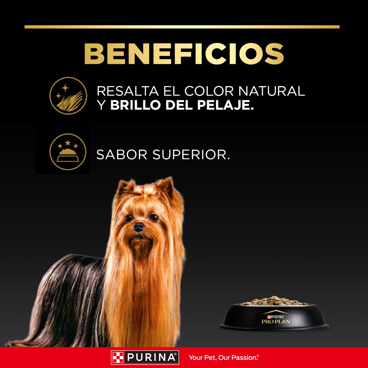 Pro Plan PLAN Exigent Small Breed 6x3kg