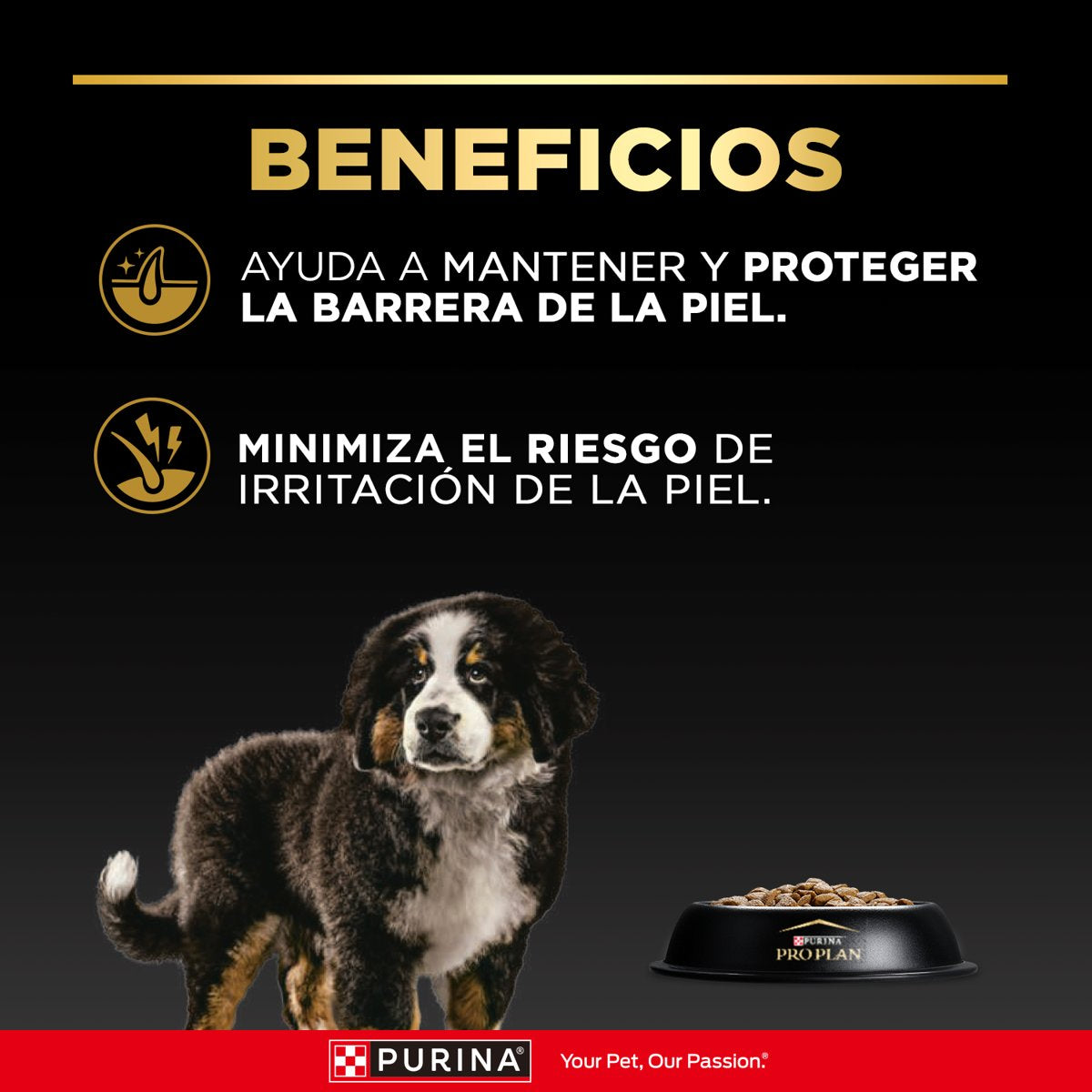 PROPLANPielSensibleCchrTodasLasRz6x3kgMX