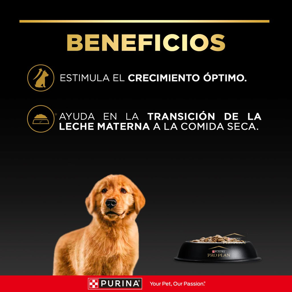 Pro Plan PLAN Cachorro Med 12kg