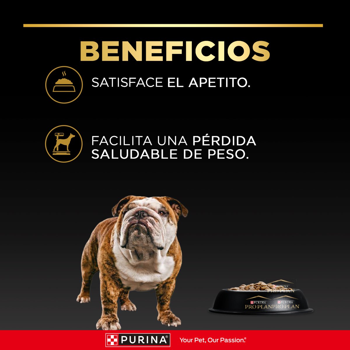 Pro Plan PLAN RedCals M/G12kgAR