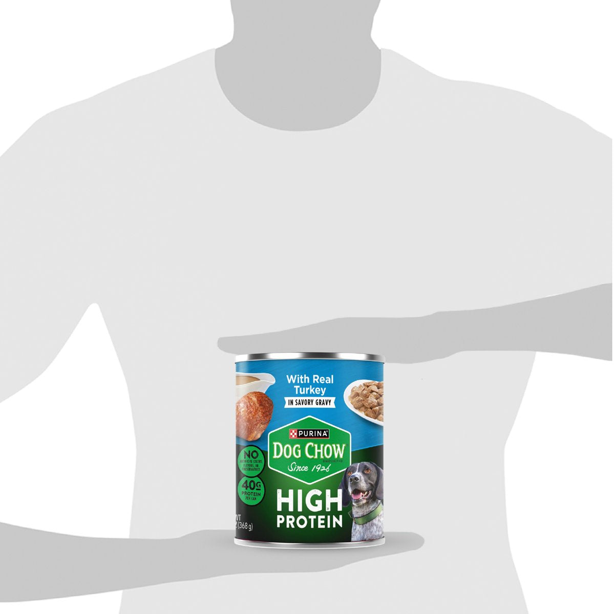 Dog Chow CHOW HIPRO Turkey InGrv 12x13oz