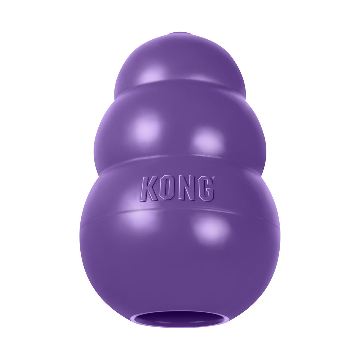 KONG Senior
