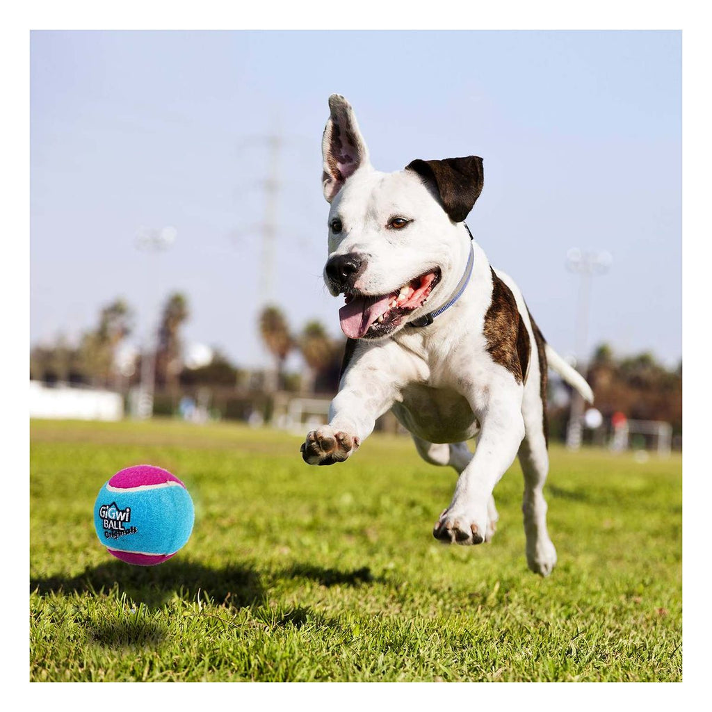 GiGwi XS size tennis ball 'GiGwi ball originals' (3pcs with different colour in one pack) D:4cm