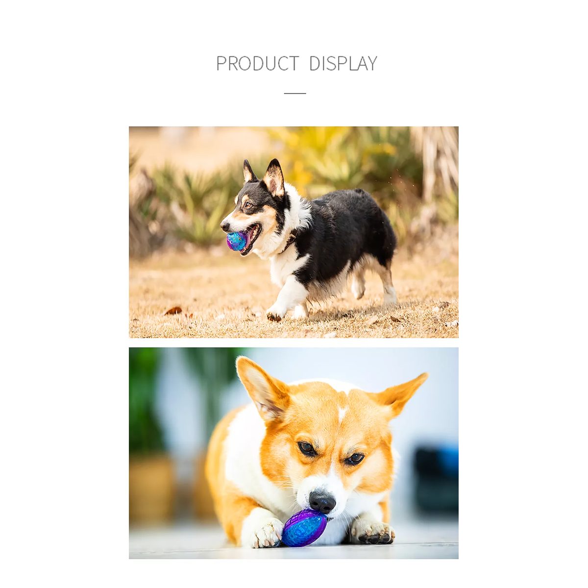 GIGWI BALL SMALL SIZE / DISPLAY 3PZ