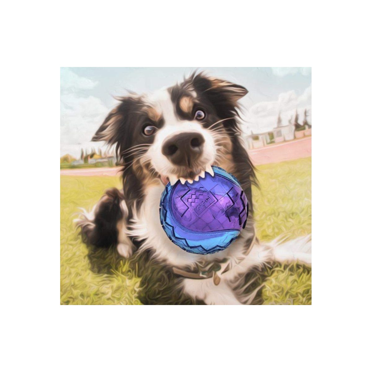 GIGWI BALL SMALL SIZE / DISPLAY 3PZ