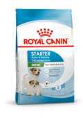 Royal Canin Mini Starter Mother & Babydog 4 kg