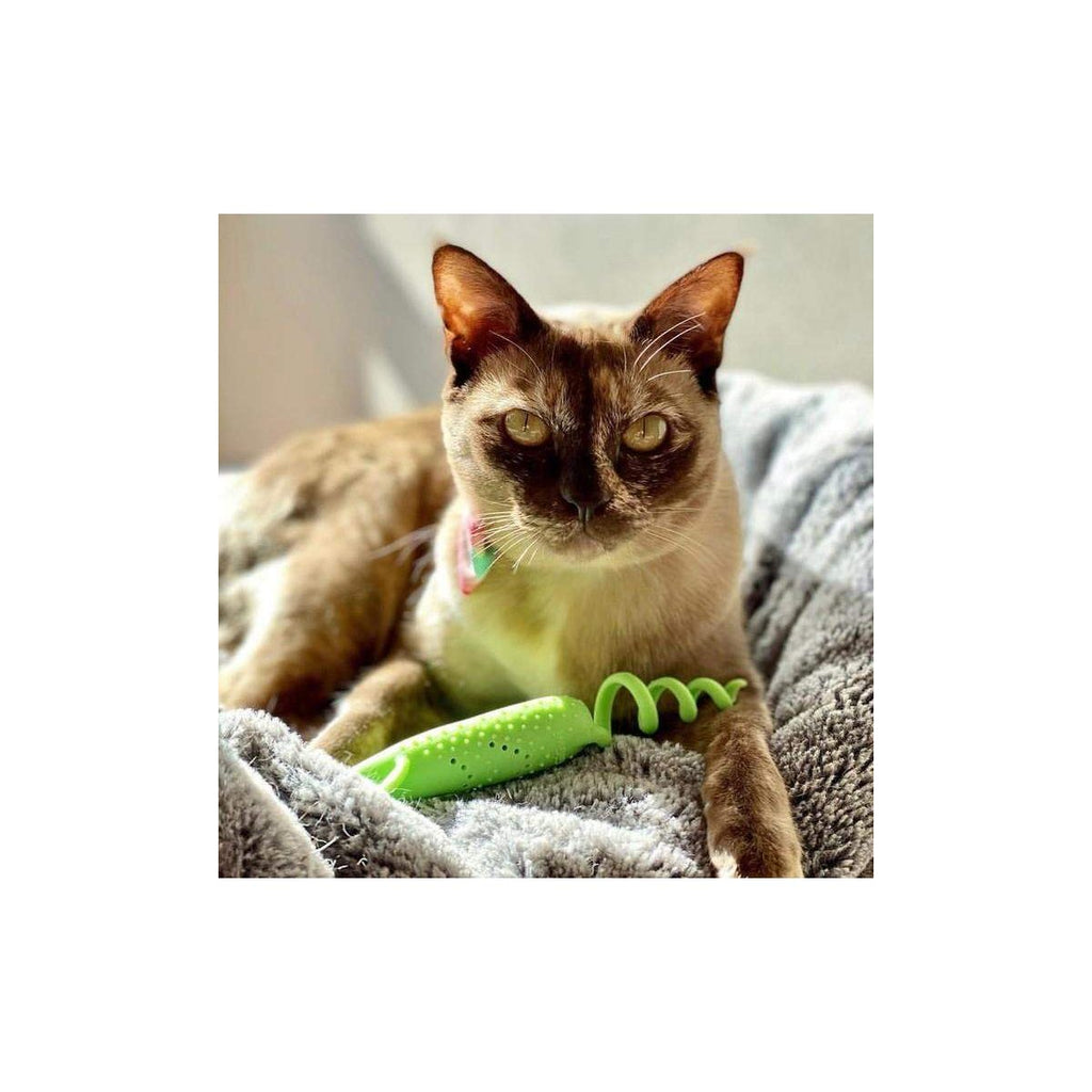 GiGwi Ratón verde Roll-tailed con bolsa de catnip intercambiable y palito plateado