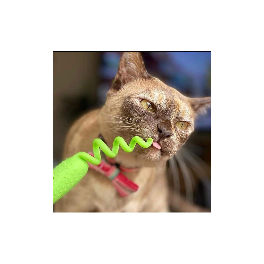 GiGwi Ratón verde Roll-tailed con bolsa de catnip intercambiable y palito plateado