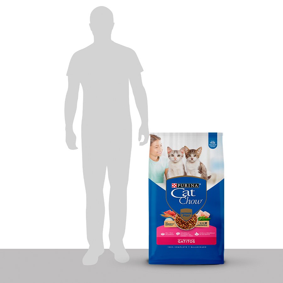 Cat Chow CHOW Gatitos 15kg