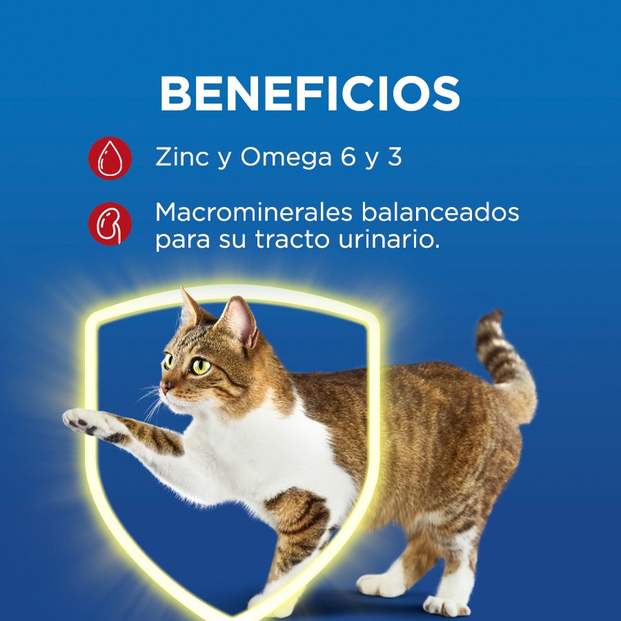 Cat Chow CHOW Adultos Carne 8kg