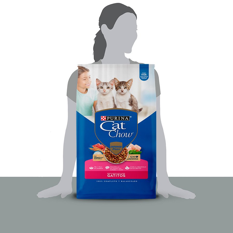 Cat Chow CHOW Gatitos 8kg N5