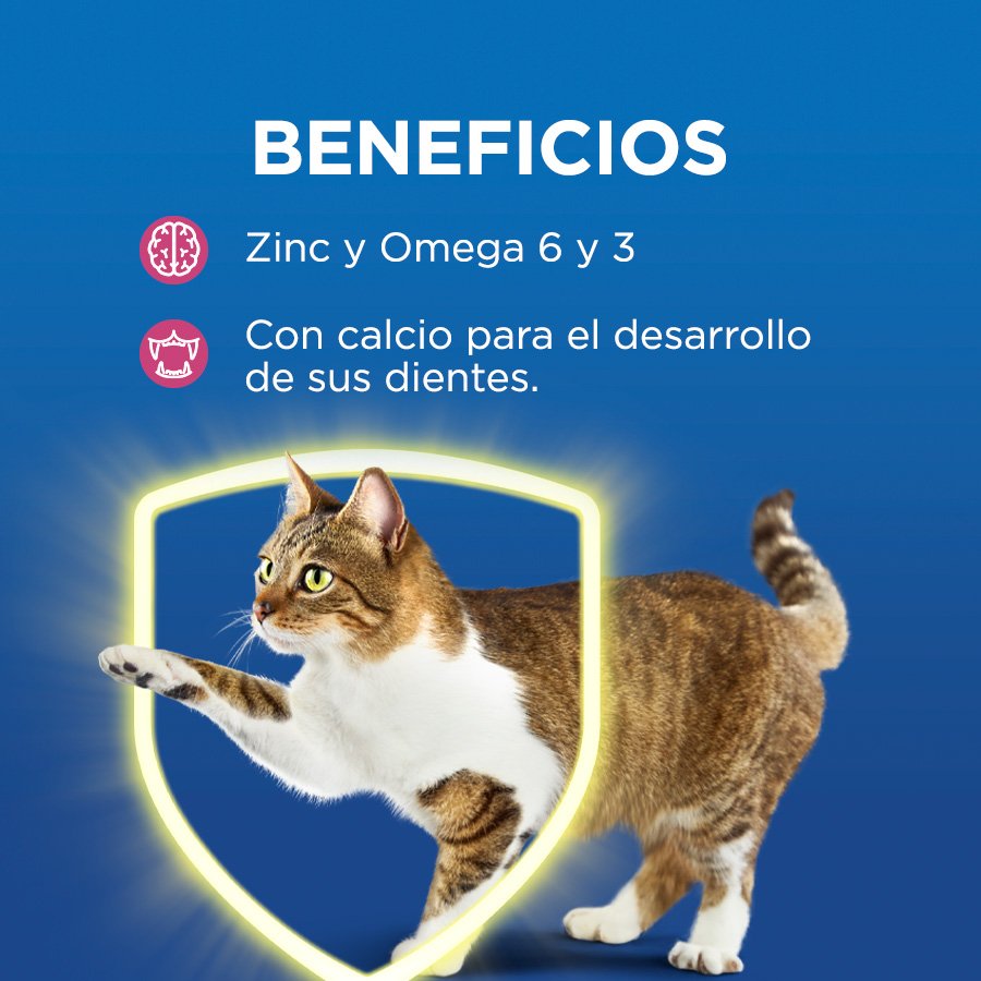 Cat Chow CHOW Gatitos 8x1kg