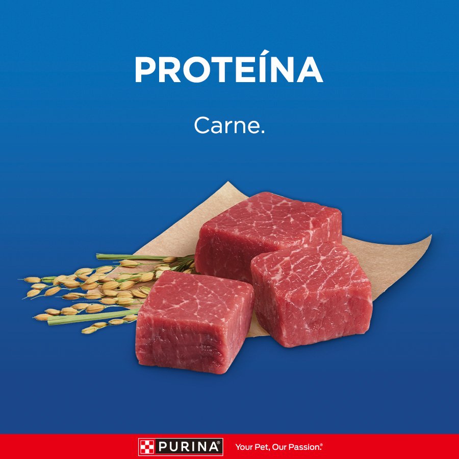 Cat Chow CHOW Adultos Carne 8x1kg