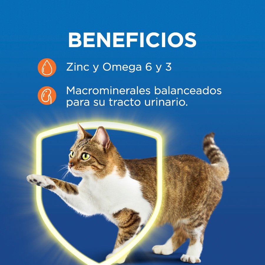 Cat Chow CHOW Delimix 8x1kg N3
