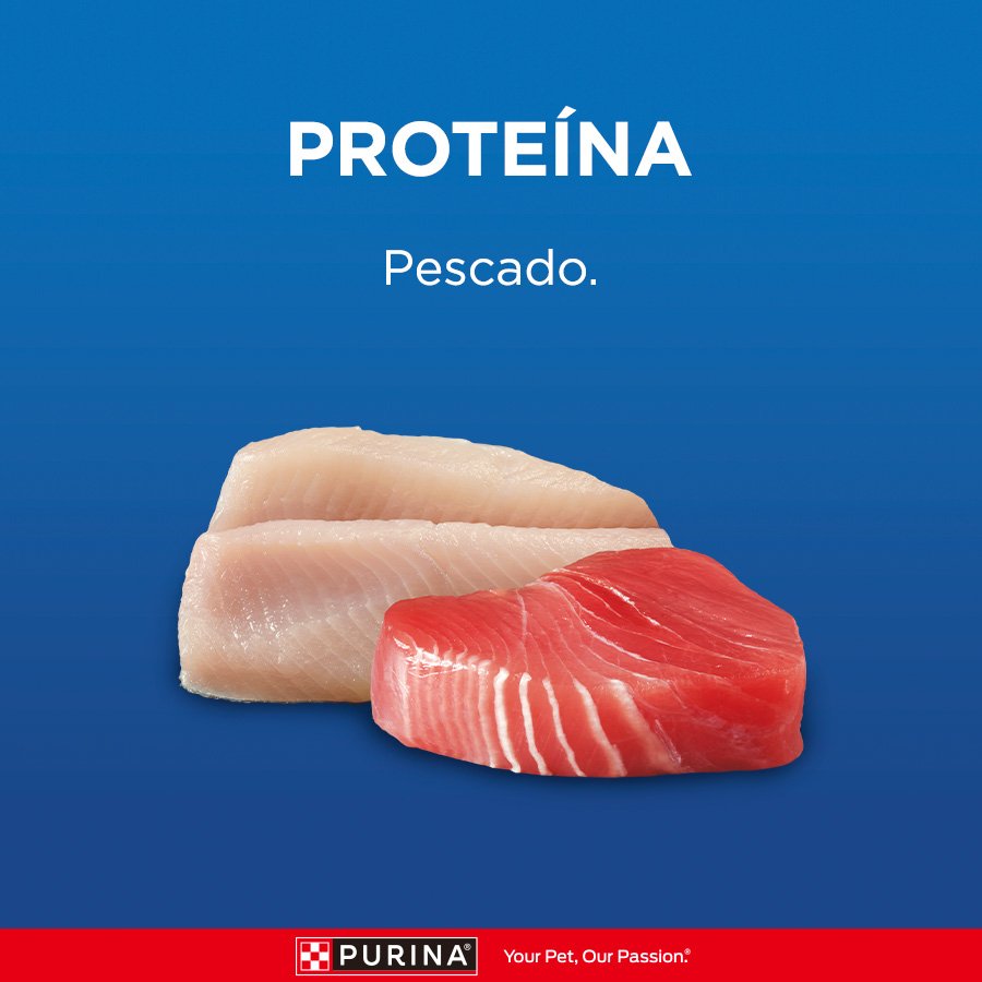 Cat Chow CHOW Adultos Pescado 8x1kg N3