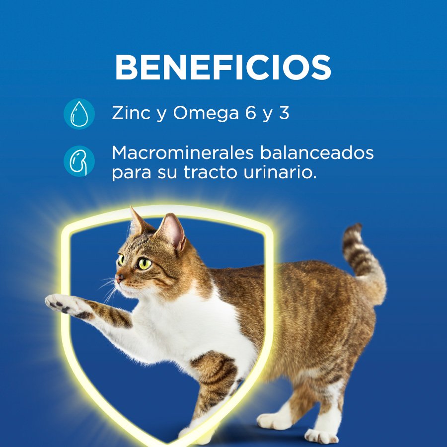Cat Chow CHOW Adultos Pescado 8kg