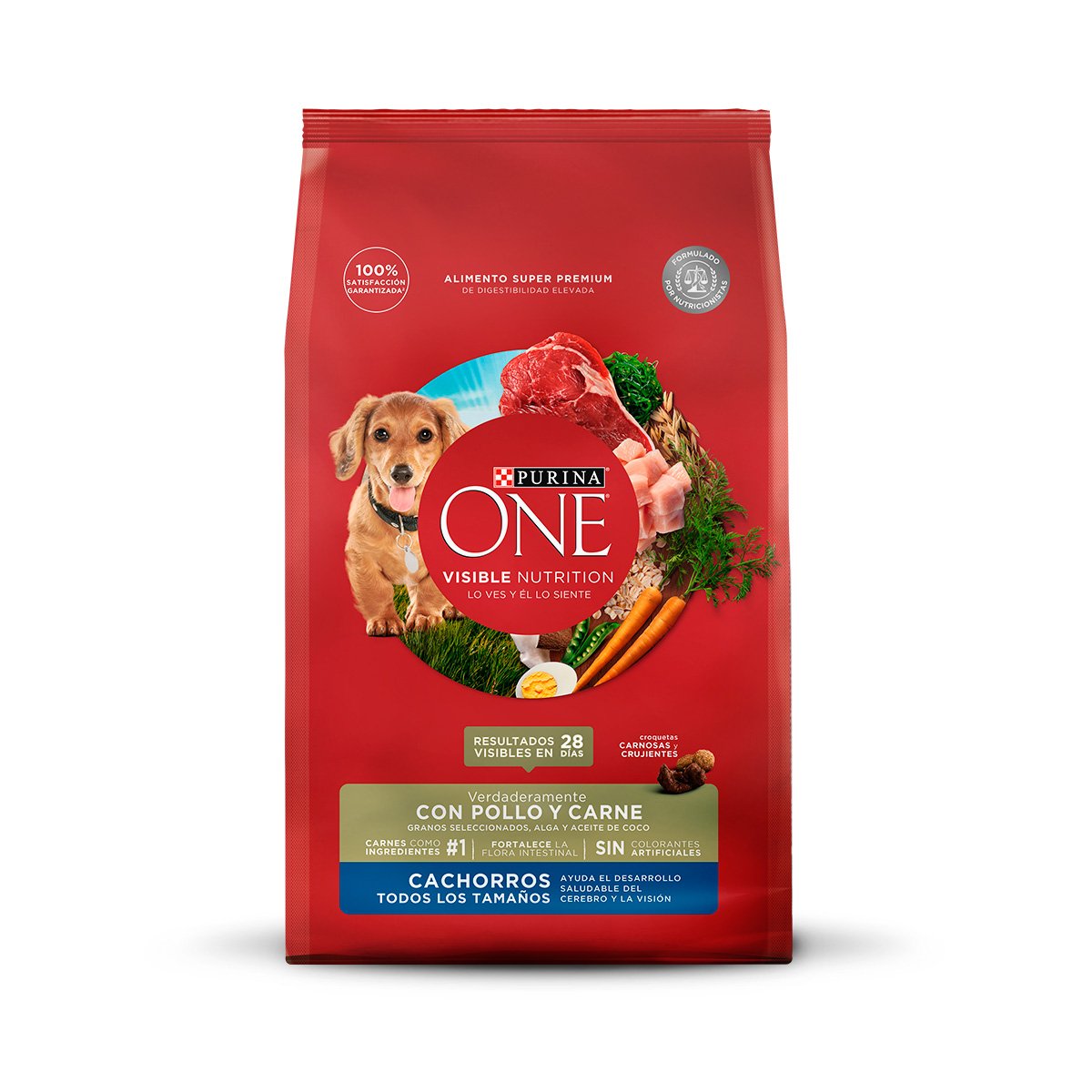 Purina ONE Cachorro 6x2kg