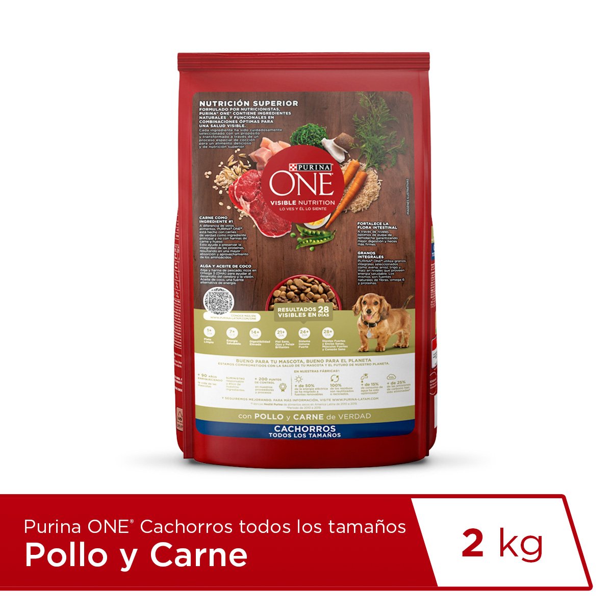 Purina ONE Cachorro 6x2kg