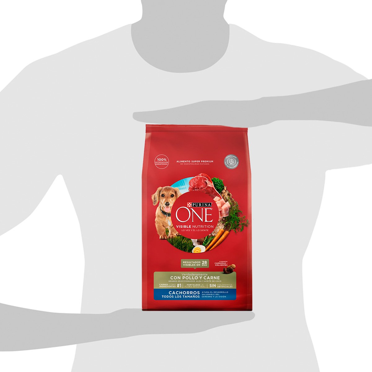 Purina ONE Cachorro 6x2kg