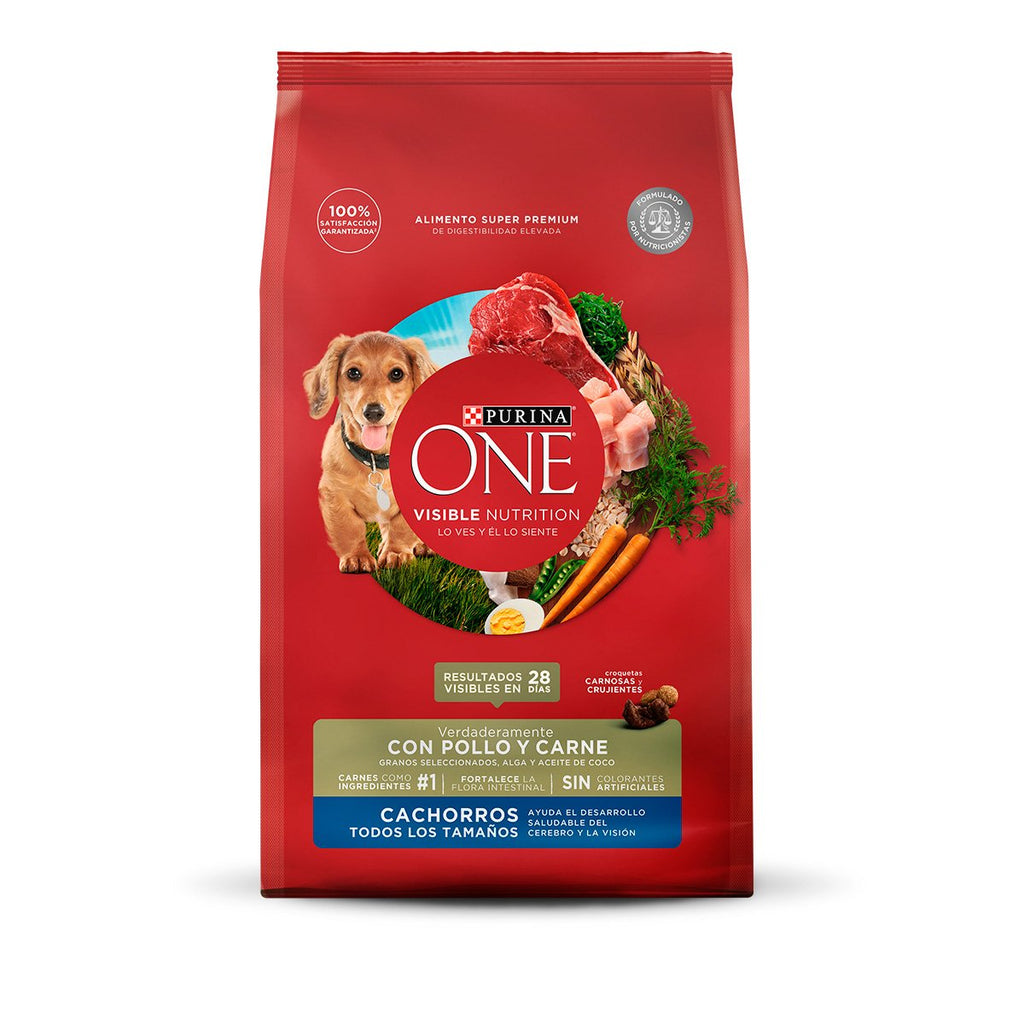 Purina ONE Cachorro 6kg