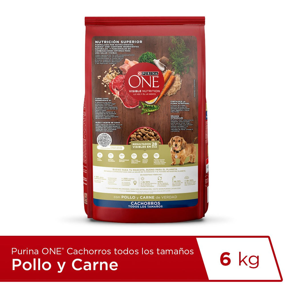 Purina ONE Cachorro 6kg