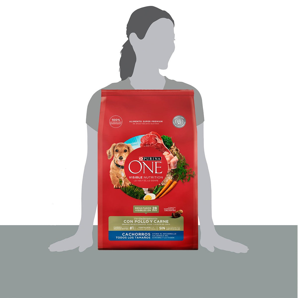 Purina ONE Cachorro 6kg