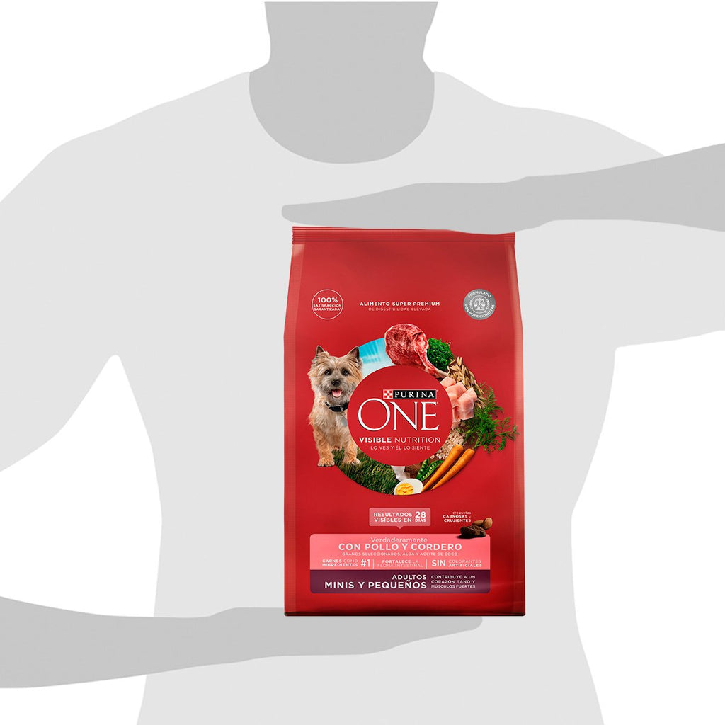 Purina ONE Adulto Mini Peq Cordero 6x2kg