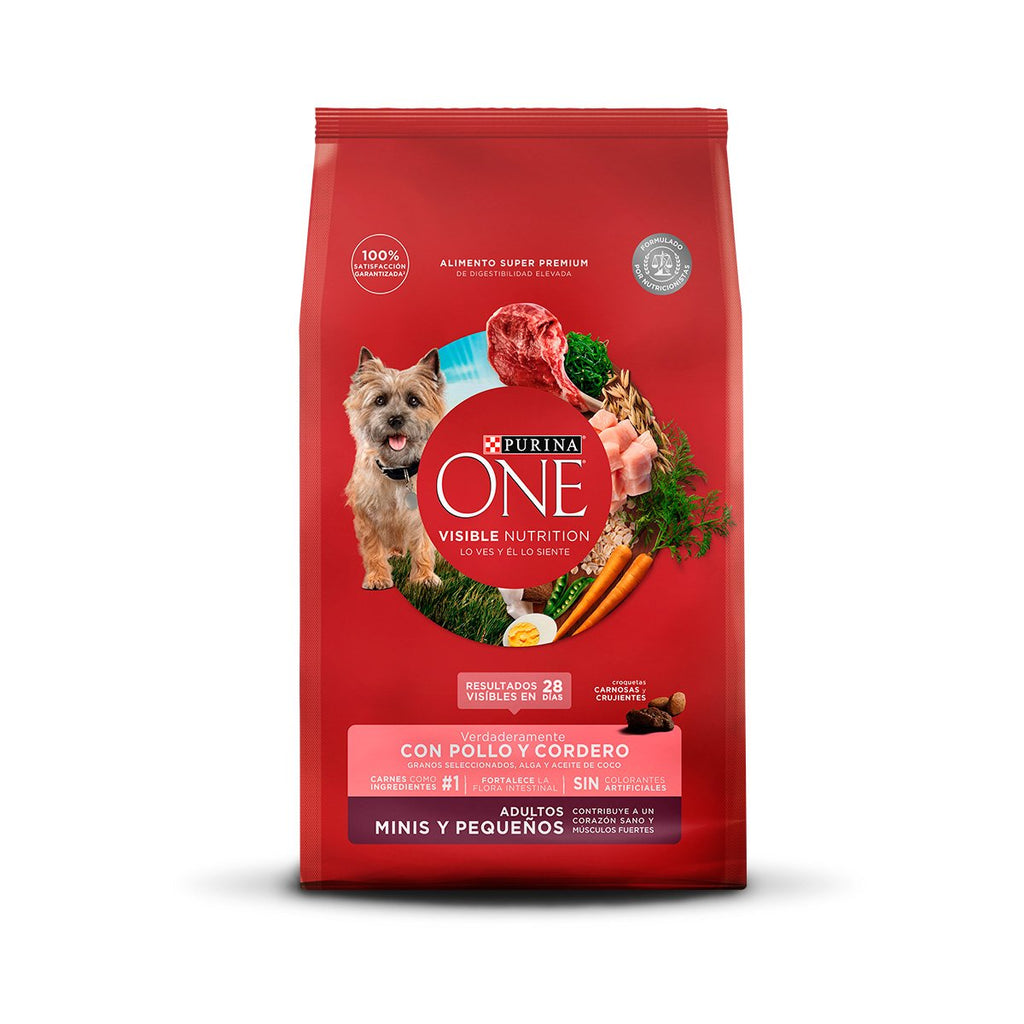 Purina ONE Adulto Mini Peq Cordero 6kg