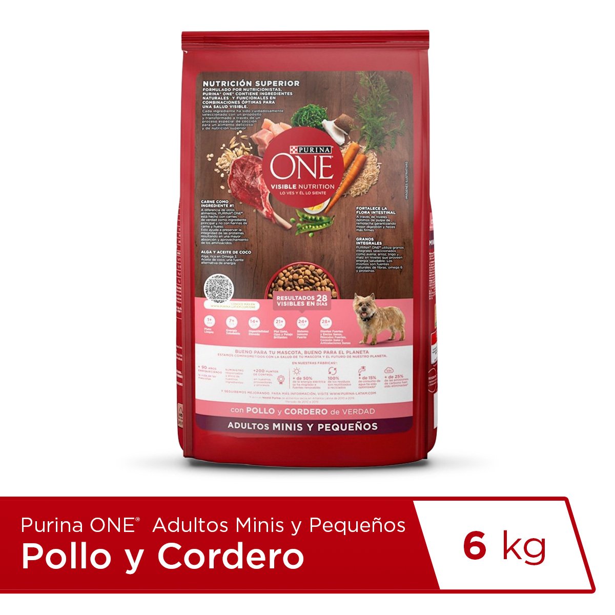 Purina ONE Adulto Mini Peq Cordero 6kg