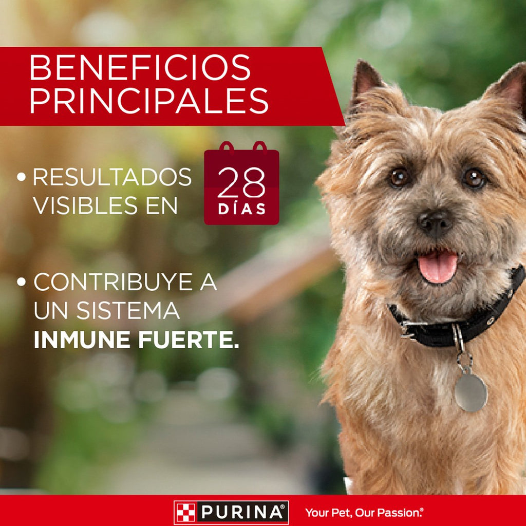 Purina ONE Adulto Mini Peq Cordero 6kg