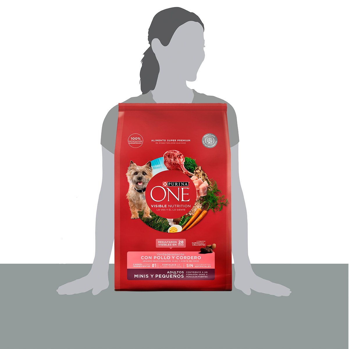 Purina ONE Adulto Mini Peq Cordero 6kg