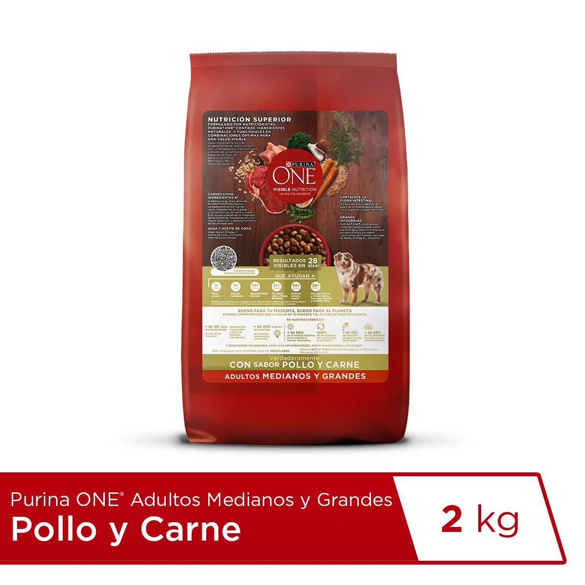 Purina ONE Adulto Med Grande Carne 6x2kg