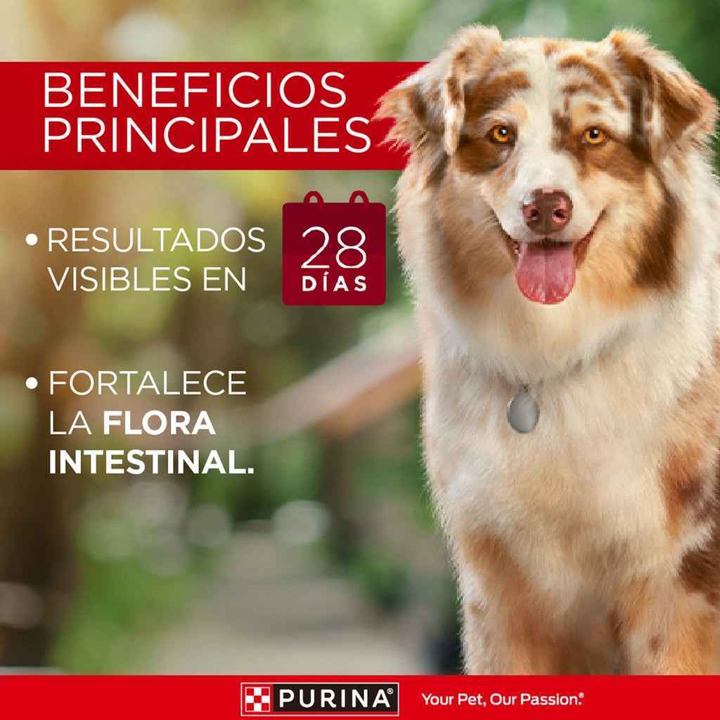 Purina ONE Adulto Med Grande Carne 6x2kg