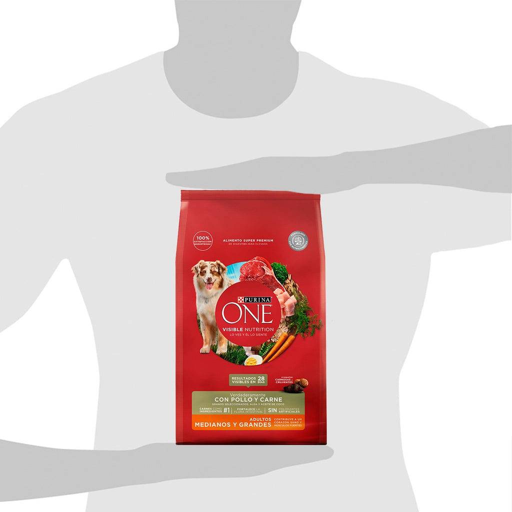 Purina ONE Adulto Med Grande Carne 6x2kg