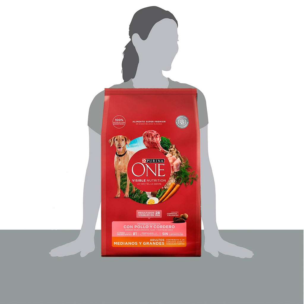 Purina ONE Adulto Med Grande Cordero 6kg