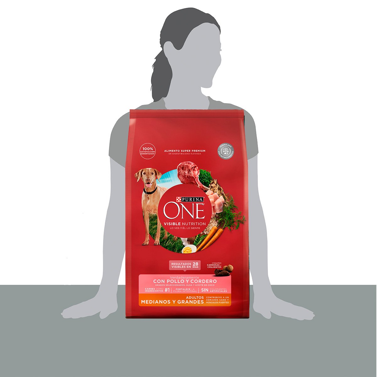 Purina ONE Adulto Med Grande Cordero 6kg
