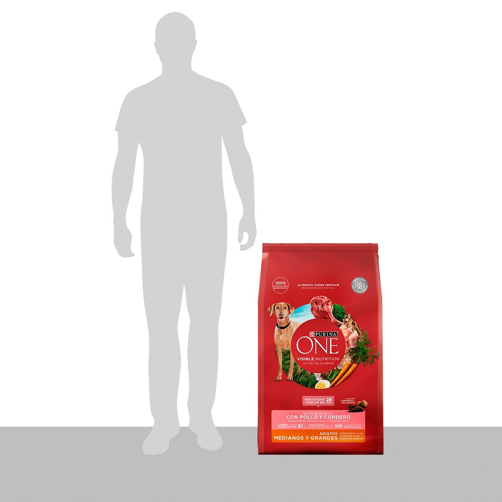 Purina ONE Adulto Med Grande Cordero 12kg