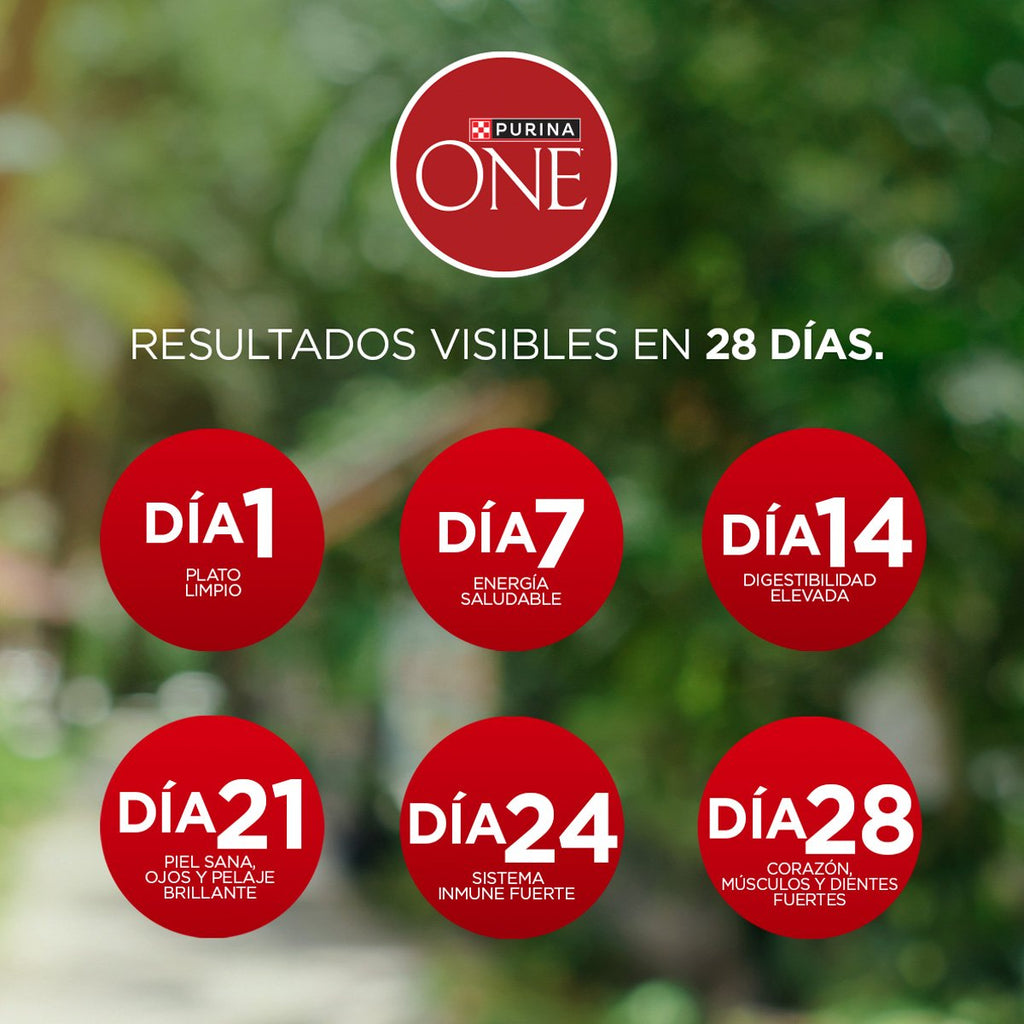 Purina ONE Adulto Med Grande Cordero 12kg